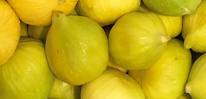 fig3-s